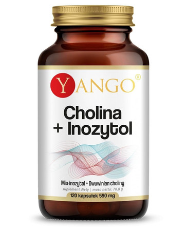 Yango Cholina Inozytol wsparcie pracy mózgu 90 kaps.