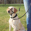 TRIXIE Szelki treningowe Top Trainer L