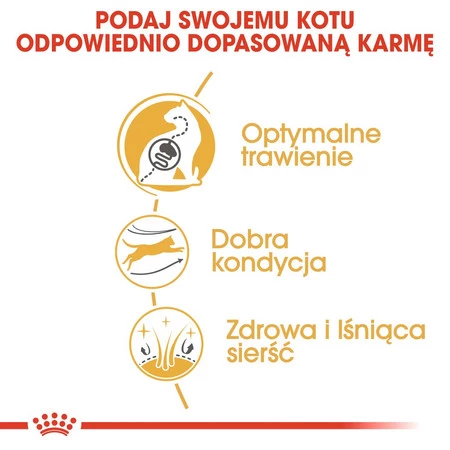 ROYAL CANIN BENGAL Adult 2kg