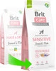 BRIT Care Dog Sustainable Sensitive Insect Fish 1kg