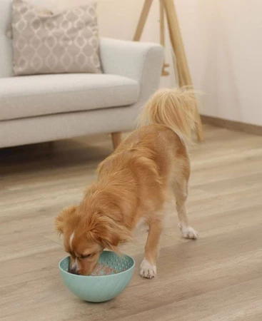 KERBL Miska Slippy do lizania turkusowa 20,5cm