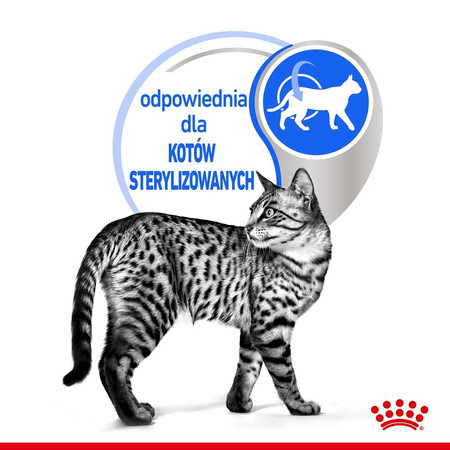 ROYAL CANIN Indoor Sterilised w sosie 85g