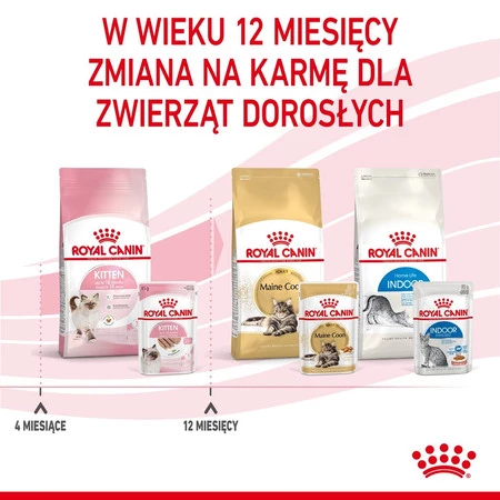 ROYAL CANIN KITTEN w pasztecie 85g