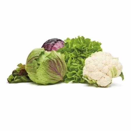 OXO-Pojemnik do przechowywania M biały, Good Grips