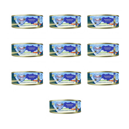 Zestaw 10x Renske Ocean fish – świeże ryby oceaniczne dla psów (95g)