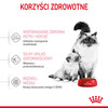 ROYAL CANIN Mother / BABYCAT 2kg