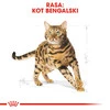 ROYAL CANIN BENGAL Adult 2kg