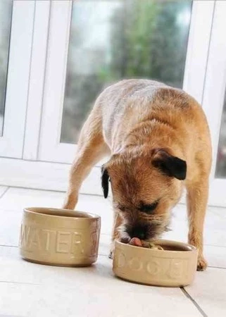 MC - Miska na wodę dla zwierzaka 15 cm, Lettered