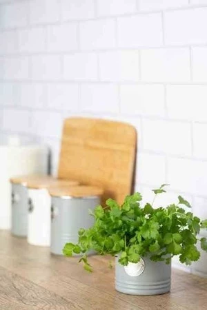 TYP - Osłonka na doniczkę do ziół, szara, Living