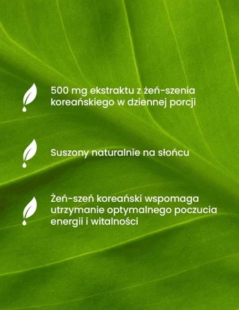 Essensey Żeń-szeń koreański, energia i witalność - 90 kaps