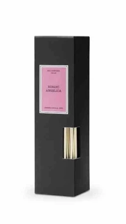 CM - Dyfuzor Santiago Reed 100ml. Nordic angelic