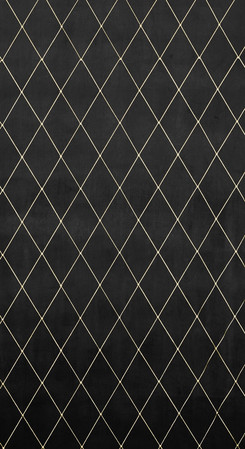 ZASŁONA DEKORACYJNA PIERRE CARDIN MARGO 140 X 250 CM CZARNY