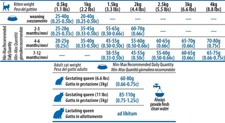 FARMINA ND CAT OCEAN Cod Shrimp Pumpkin Melon Kitten 300g