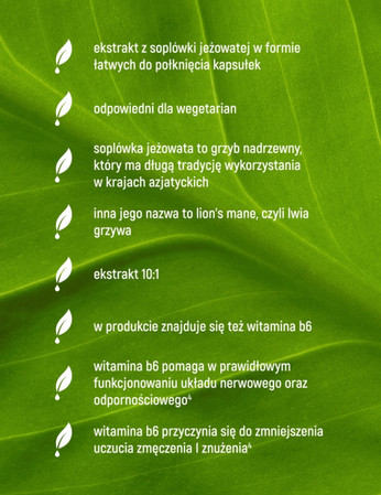 Essensey Soplówka Jeżowata + witamina B6 na wsparcie układu nerwowego 90 kaps.