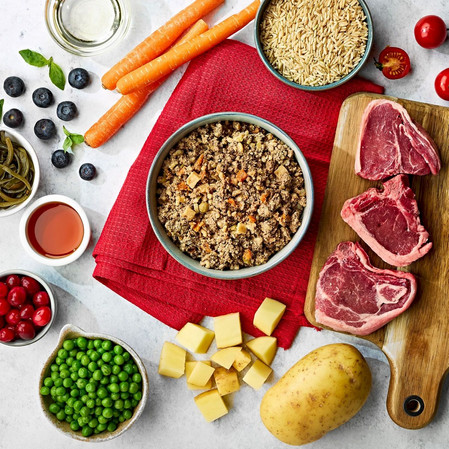 NATURO Adult Dog Jagnięcina Ryż Warzywa tacka 400g