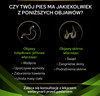 PURINA PVD HA Hypoallergenic Canine 3kg