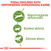 ROYAL CANIN Outdoor 30 4kg