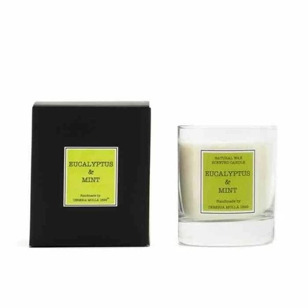 CM - Świeca Santiago 230gr. Eucalyptus and mint