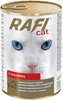 DOLINA NOTECI RAFI Cat Wołowina 415g