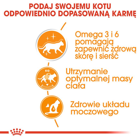 ROYAL CANIN Hair / Skin Care w galaretce 85g