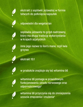 Essensey Soplówka Jeżowata + witamina B6 na wsparcie układu nerwowego 90 kaps.