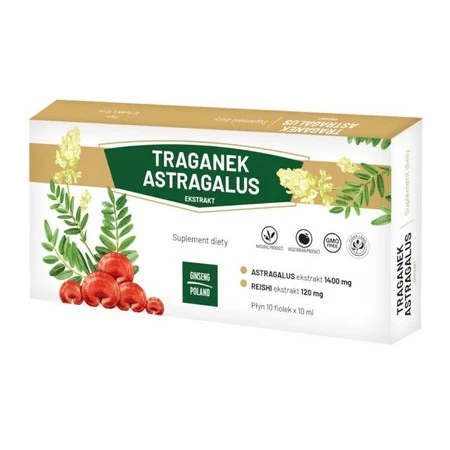 Traganek Astragalus ekstrakt 10x10ml (fiolki) GINSENG POLAND