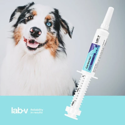 Lab-V CarboVet DOG Preparat o właściwościach odtruwających dla psów 10ml