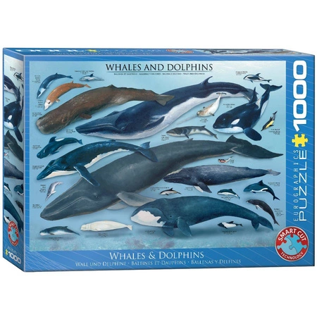Puzzle 1000 Whales&Dolphins 6000-0082 -
