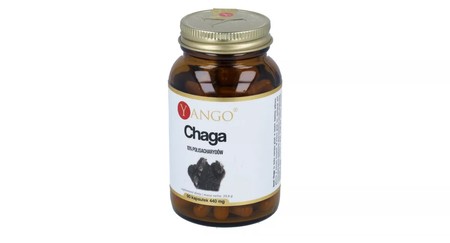 Chaga - ekstrakt 10% polisacharydów (90 kaps.)