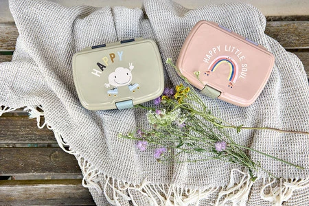 Lassig Lunchbox z wkładką Tiny Outdoor Rainbow