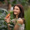 Natures sunshine Collagen Marine Glo hydrolizowany kolagen rybi 30 saszetek smak tropikalny