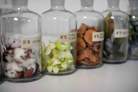 CM - Dyfuzor Santiago Reed 100ml. Madagascar van