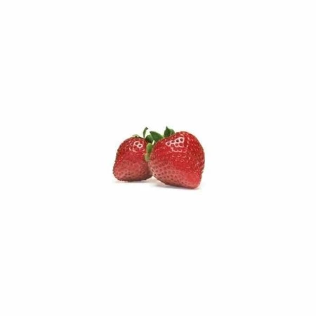 OXO-Pojemnik do przechowywania S biały, Good Grips