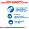 ROYAL CANIN Indoor Long Hair 4kg