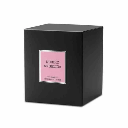 CM - Świeca Santiago 230gr. Nordic angelica