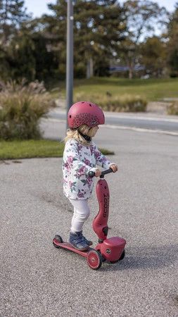 SCOOTANDRIDE Highwaykick 1 Lifestyle 2w1 Jeździk i hulajnoga z zamykanym schowkiem 1-5 lat Wildcat