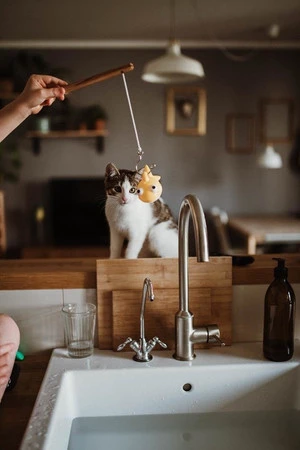 Janod Zestaw do wędkowania w kąpieli 2+