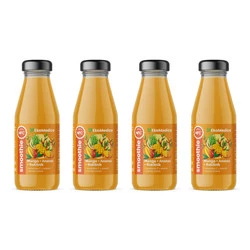 Zestaw 4x EkaMedica Smoothie mango-ananas-rokitnik 250ml