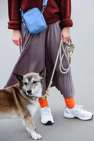 PALOPA Torebka saszetka na smakołyki dla psa Greta sky blue L