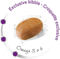 ROYAL CANIN Maltese Maltańczyk Adult 1,5kg