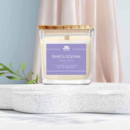 Świeca sojowa zap. insp. LOLITA LEMPICKA 450g