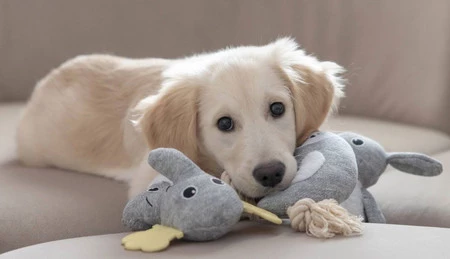 KERBL Leniwiec Zabawka pluszowa dla szczeniąt