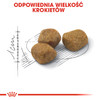 ROYAL CANIN FIT 32 2kg