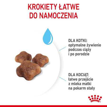 ROYAL CANIN Mother / BABYCAT 400g