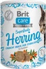 BRIT Care Cat Snack Superfruits HERRING Śledź Sterilised 100g