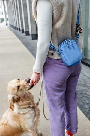 PALOPA Torebka saszetka na smakołyki dla psa Greta sky blue L