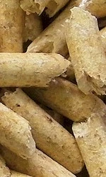 Super PINIO Cytrus Żwirek drewniany 35l