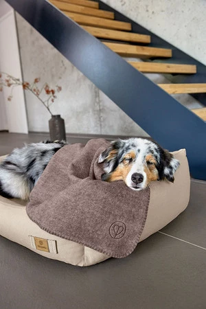 PALOPA Legowisko dla psa bawełniane Fred humus M