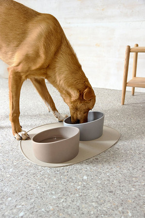 PALOPA Miska dla psa porcelanowa Cali taupe