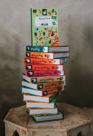 Janod Magnetyczna układanka Świat baśni Magnetibook 3-8 lat